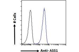 Flow Cytometry (FACS) image for anti-Argininosuccinate Synthase 1 (ASS1) (Internal Region) antibody (ABIN190834)