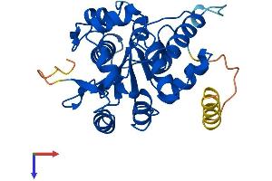 CNOT8 Protein (AA 1-292) (His tag)