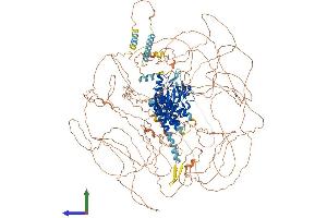 Protein Structure (PS) image for Lemur tyrosine Kinase 2 (LMTK2) (AA 1-1503) protein (His tag) (ABIN7554451)