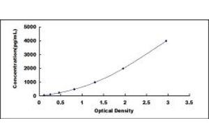 Typical standard curve (SOD2 ELISA Kit)