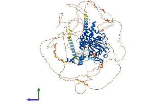 Protein Structure (PS) image for PHD Finger Protein 8 (PHF8) (AA 1-1060) protein (His tag) (ABIN7554923)
