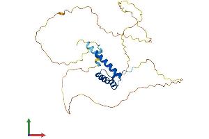 Protein Structure (PS) image for Homeobox A11 (HOXA11) (AA 1-313) protein (His tag) (ABIN7563110)