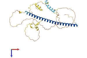 C-JUN Protein (AA 1-331) (His tag)