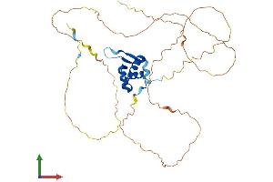 AlphaFold protein structure predicition of Mouse Recombinant Foxf1 Protein, UniprotID Q61080 (FOXF1 Protein (AA 1-378) (His tag))