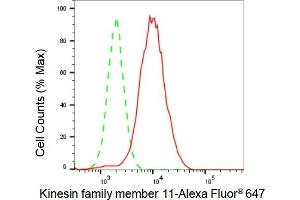 Flow cytometric analysis of Kinesin family member 11 expression in HAP-1 cells using Kinesin family member 11 antibody (ABIN7799200), 1:2,000). (Rekombinanter KIF11 Antikörper)