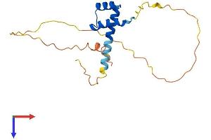 RHOXF1 Protein (AA 1-184) (His tag)