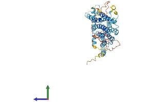 Protein Structure (PS) image for Transmembrane Protein 184C (TMEM184C) (AA 1-438) protein (His tag) (ABIN7544083)