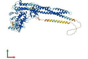Protein Structure (PS) image for conserved Helix-Loop-Helix Ubiquitous Kinase (CHUK) (AA 1-745) protein (His tag) (ABIN7563871)