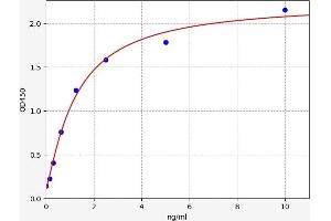 Typical standard curve (CD48 ELISA Kit)