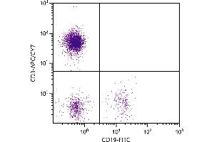 Human peripheral blood lymphocytes were stained with Mouse Anti-Human CD3-APC/CY7. (CD3 Antikörper  (APC-Cy7))