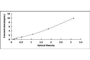 Typical standard curve (CXCR4 ELISA Kit)