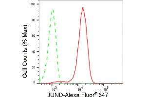 Flow cytometric analysis of JunD expression in HepG2 cells using JunD antibody (ABIN7799143), 1:2,000). (Rekombinanter JunD Antikörper)
