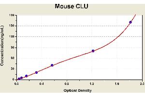Diagramm of the ELISA kit to detect Mouse CLUwith the optical density on the x-axis and the concentration on the y-axis.