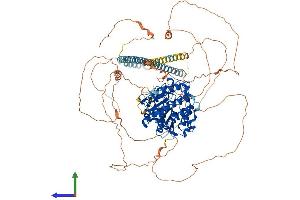 Protein Structure (PS) image for Histone Deacetylase 9 (HDAC9) (AA 1-1011) protein (His tag) (ABIN7554091)