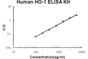 Human HO-1/HMOX1 Accusignal ELISA Kit Human HO-1/HMOX1 AccuSignal ELISA Kit standard curve. (HMOX1 ELISA Kit)