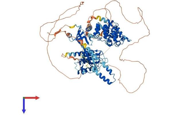 AGAP3 Protein (AA 1-875) (His tag)