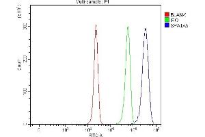 Flow Cytometry analysis of HepG2 cells using anti-SPATA5 antibody (ABIN7599767).