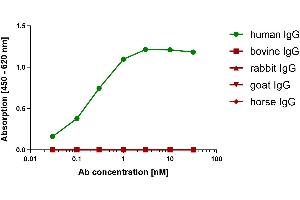 Different species IgG were coated on an ELISA plate at 100 ng. (Rekombinanter Maus anti-Human IgG (Fc Region) Antikörper)
