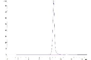 Size-exclusion chromatography-High Pressure Liquid Chromatography (SEC-HPLC) image for Discoidin Domain Receptor tyrosine Kinase 1 (DDR1) (AA 22-415) protein (His tag) (ABIN7274462)
