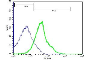 Mouse hepatocytes probed with Rabbit Anti-Talin Polyclonal Antibody,FITC Conjugated (ABIN701702) at 1:100 for 40 minutes (green)compared to control cells (blue). (TLN1 Antikörper  (AA 1601-1750) (FITC))