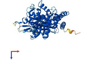 TUBA4A Protein (AA 1-448) (His tag)