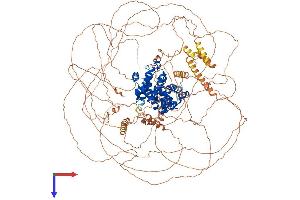 Cyclin B3 Protein (CCNB3) (AA 1-1396) (His tag)