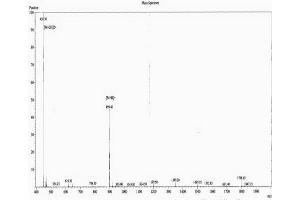 Figure. (Angiotensin 1-7 (AA 34-40) peptide (Ovalbumin))