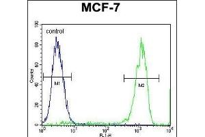 TMEM132E Antibody (C-term) (ABIN655434 and ABIN2844969) flow cytometric analysis of MCF-7 cells (right histogram) compared to a negative control cell (left histogram). (TMEM132E Antikörper  (C-Term))