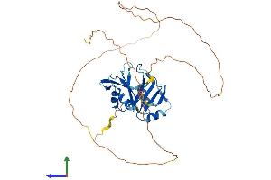 Protein Structure (PS) image for Musashi Homolog 1 (Drosophila) (MSI1) (AA 1-362) protein (His tag) (ABIN7557711)
