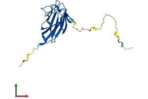 Protein Structure (PS) image for TRAF-Interacting Protein with Forkhead-Associated Domain (TIFA) (AA 1-184) protein (His tag) (ABIN7558186)