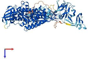 TOP3B Protein (AA 1-862) (His tag)
