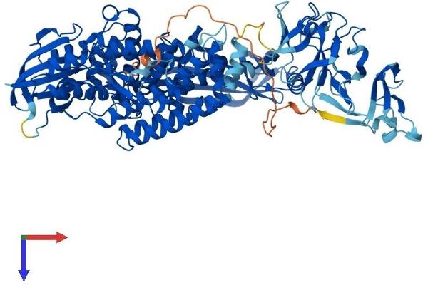 TOP3B Protein (AA 1-862) (His tag)
