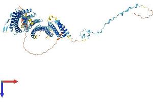 SRP68 Protein (AA 1-625) (His tag)