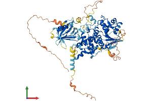 Protein Structure (PS) image for Myotubularin Related Protein 11 (MTMR11) (AA 1-700) protein (His tag) (ABIN7557348)
