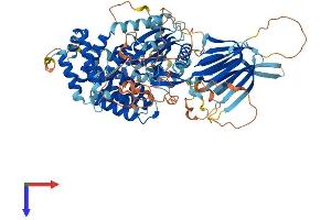 PIK3R6 Protein (AA 1-754) (His tag)