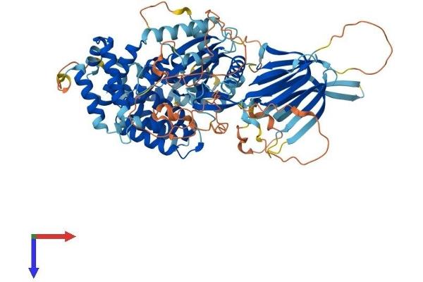 PIK3R6 Protein (AA 1-754) (His tag)