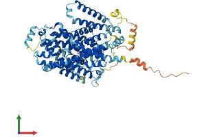 AlphaFold protein structure predicition of Human Recombinant SLC7A3 Protein, UniprotID Q8WY07