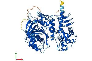 Protein Structure (PS) image for Fucose-1-Phosphate Guanylyltransferase (FPGT) (AA 1-590) protein (His tag) (ABIN7562159)