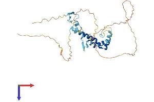 SPRY1 Protein (AA 1-313) (His tag)