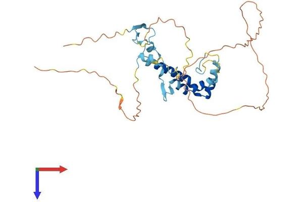 SPRY1 Protein (AA 1-313) (His tag)