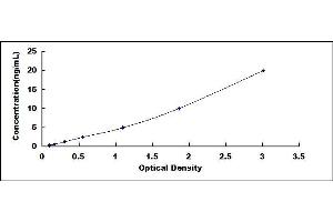 Typical standard curve
