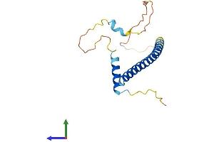 AlphaFold protein structure predicition of Mouse Recombinant Ddit3 Protein, UniprotID P35639