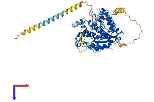 CHST3 Protein (AA 1-479) (His tag)