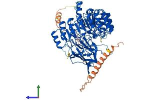Protein Structure (PS) image for F-Box and Leucine-Rich Repeat Protein 4 (FBXL4) (AA 1-621) protein (His tag) (ABIN7547603)