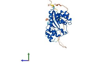 NMNAT2 Protein (AA 1-307) (His tag)