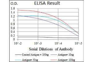 Red: Control Antigen (100ng) ; Purple: Antigen (10ng) ; Green: Antigen (50ng) ; Blue: Antigen (100ng). (ENO2/NSE Antikörper  (AA 251-433))