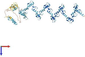 ZFP14 Protein (AA 1-642) (His tag)