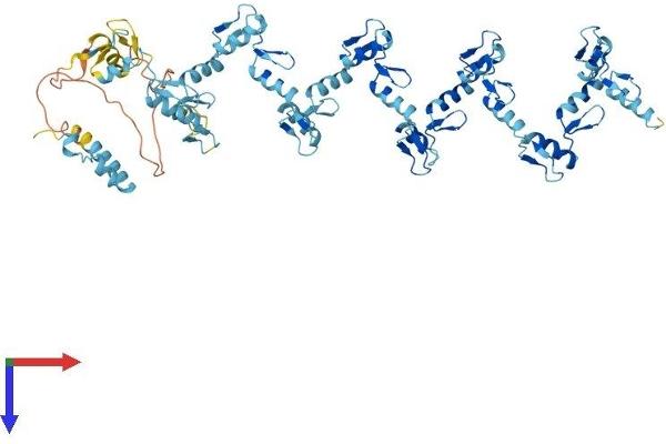 ZFP14 Protein (AA 1-642) (His tag)