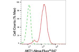 Flow cytometric analysis of AKT1 expression in C2C12 cells using AKT1 antibody (ABIN7800778), 1:2,000). (AKT1 Antikörper)
