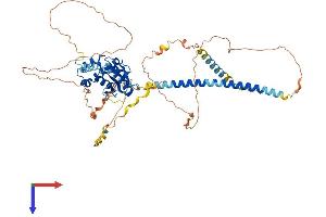 OTUD5 Protein (AA 1-571) (His tag)